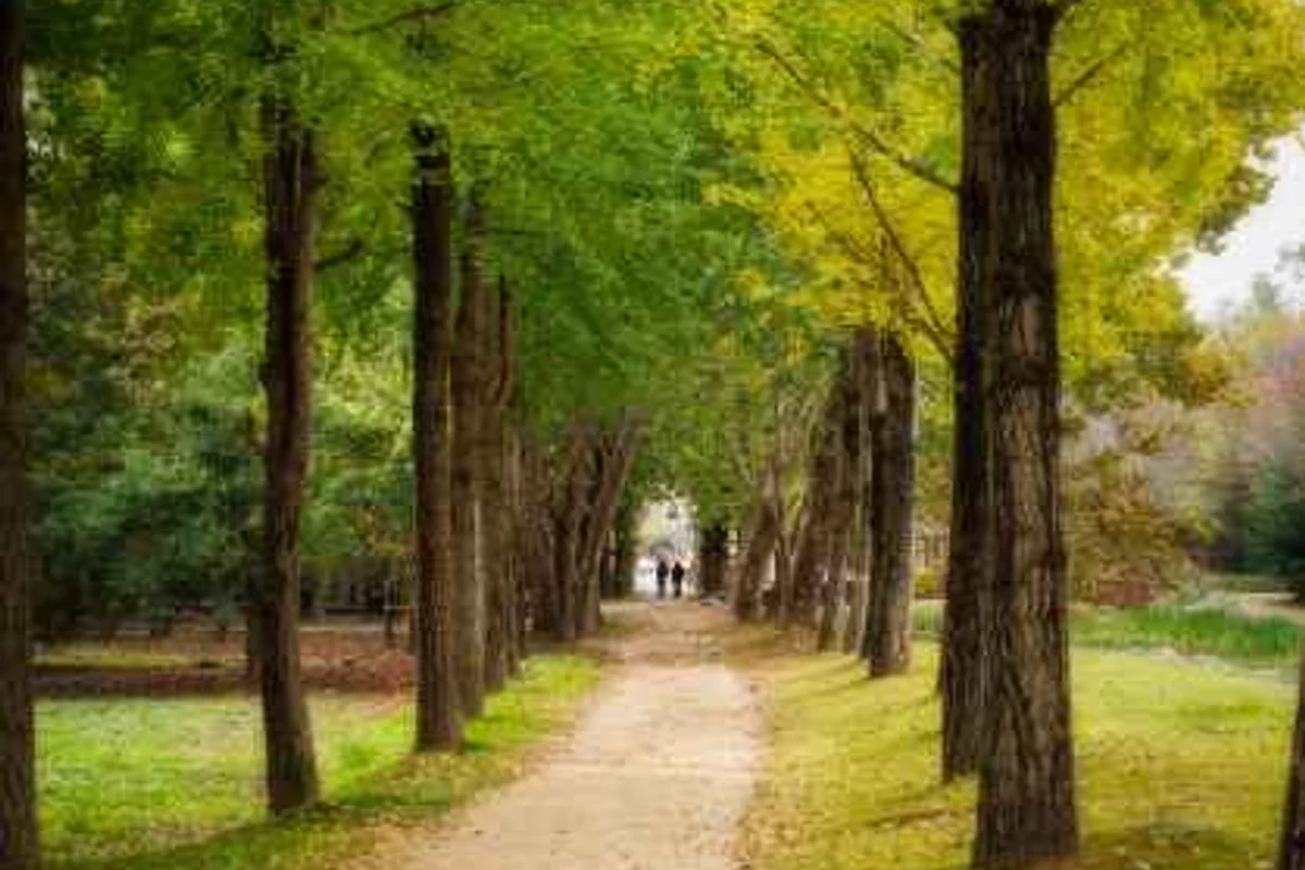 고인돌공원 - 오산여행 여행