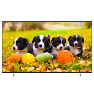 [으뜸효율]삼성전자 189.3cm UHD 4K LED 비즈니스 TV LH75BEDHLGFXKR 1등급, 방문설치, 스탠드형, LH75BED_S, 189.3cm