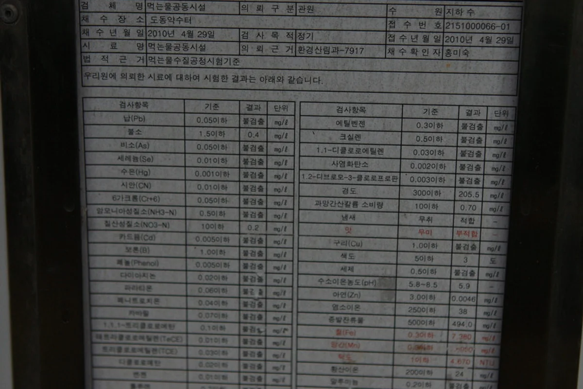 도동항 주변 울릉 밥집 - 울릉도여행 여행