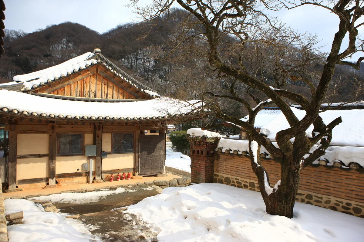 백양사 - 장성군봄여행 여행