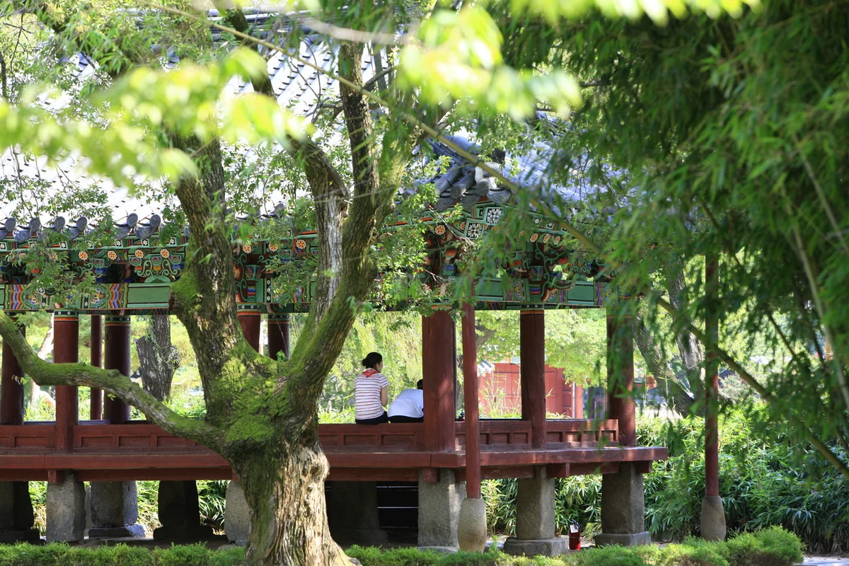 영주 국립산림치유원 다스림 - 영주여행 여행