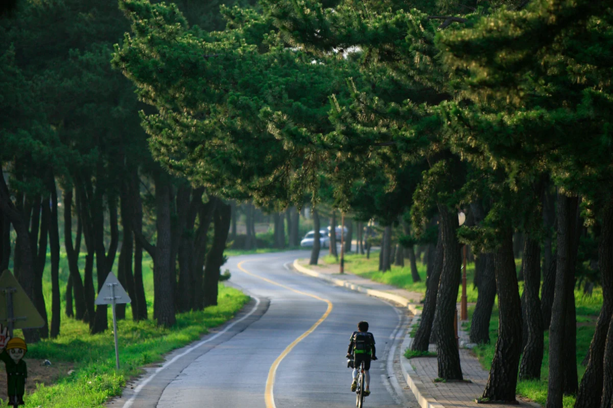 라스트웨이브 송정서핑샵 - 송정캠핑 여행