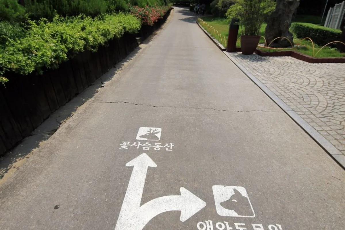 베어트리파크 - 세종벚꽃 여행