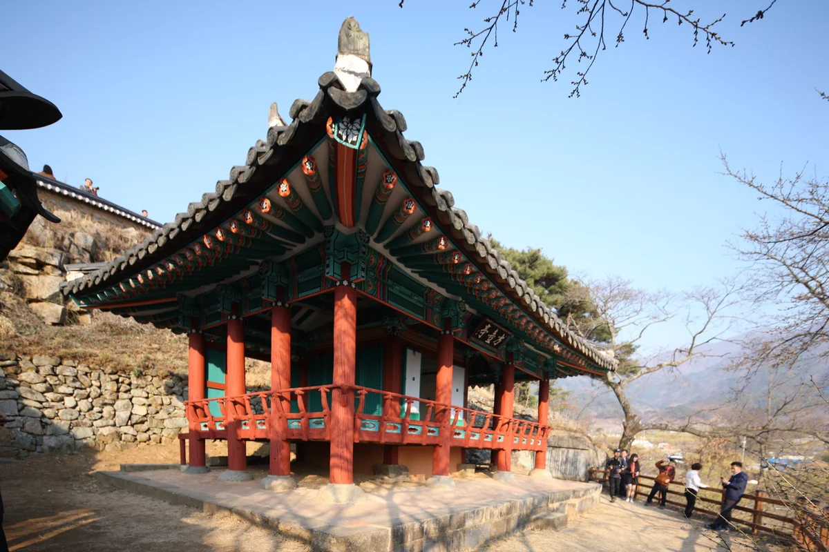 천개의향나무숲 - 구례 여행