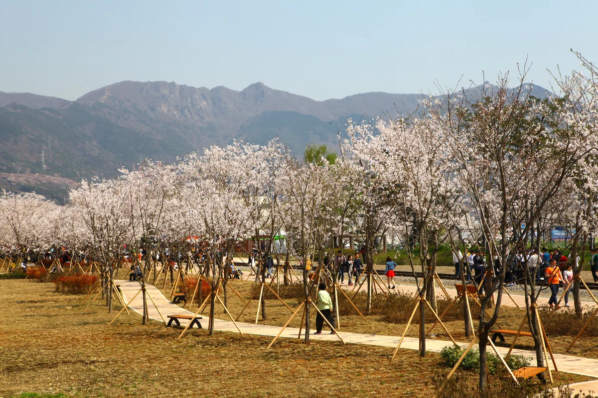 창원 미술관 (출처 : 한국관광공사)