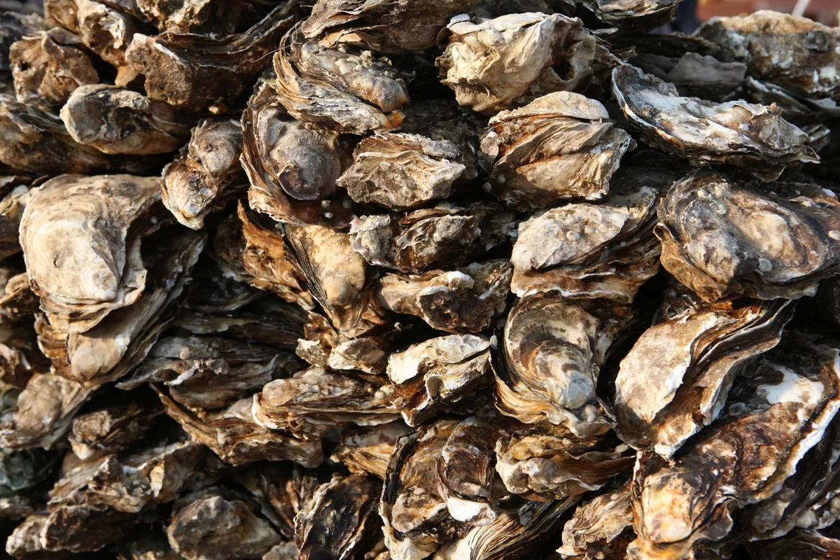 스타웨이하동 - 하동 여행