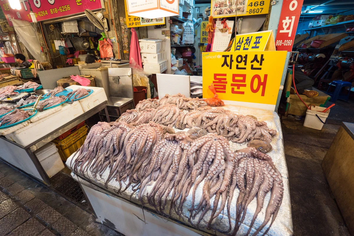 부전시장 가볼만한곳 (출처 : 한국관광공사)