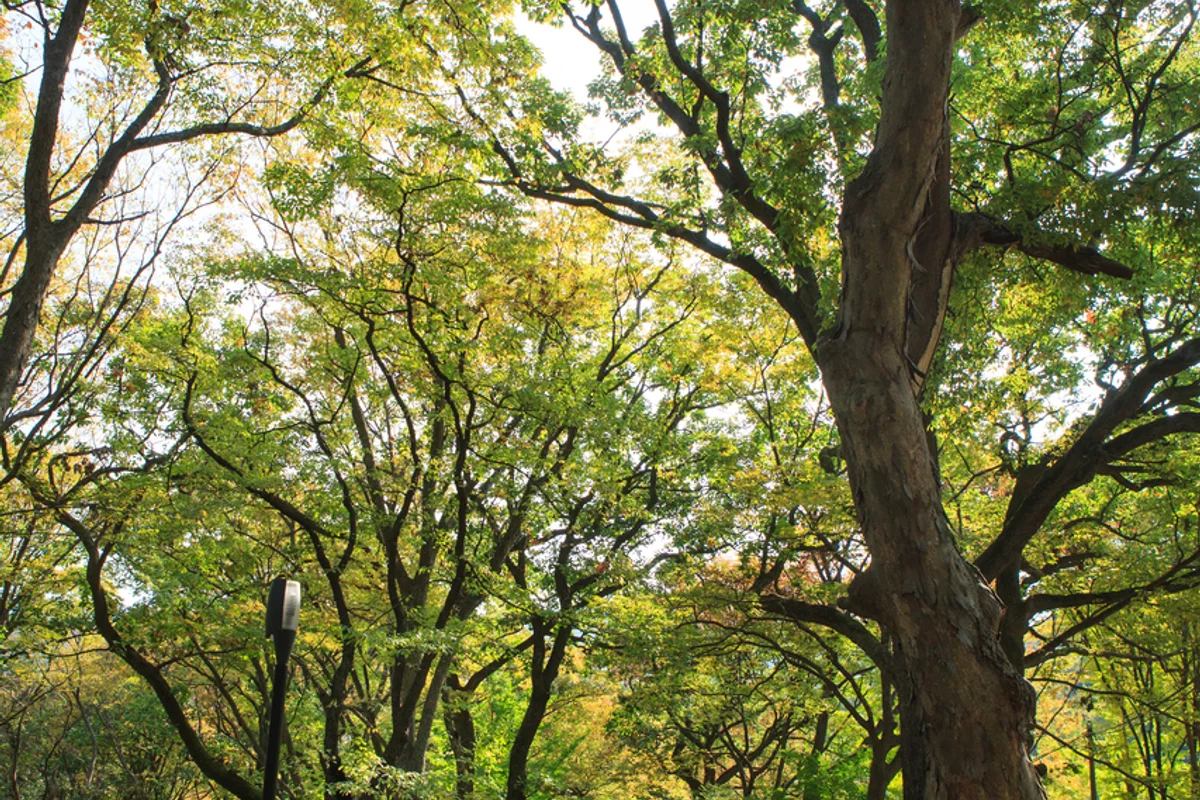 도심 속 자연 쉼터, 한라수목원 - 제주시내 등산 여행
