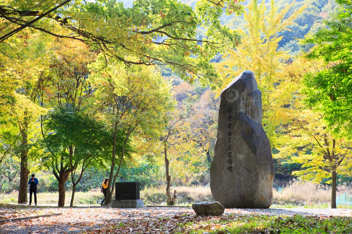 무지개 해안도로 옆 도두봉 - 제주시내 등산 여행