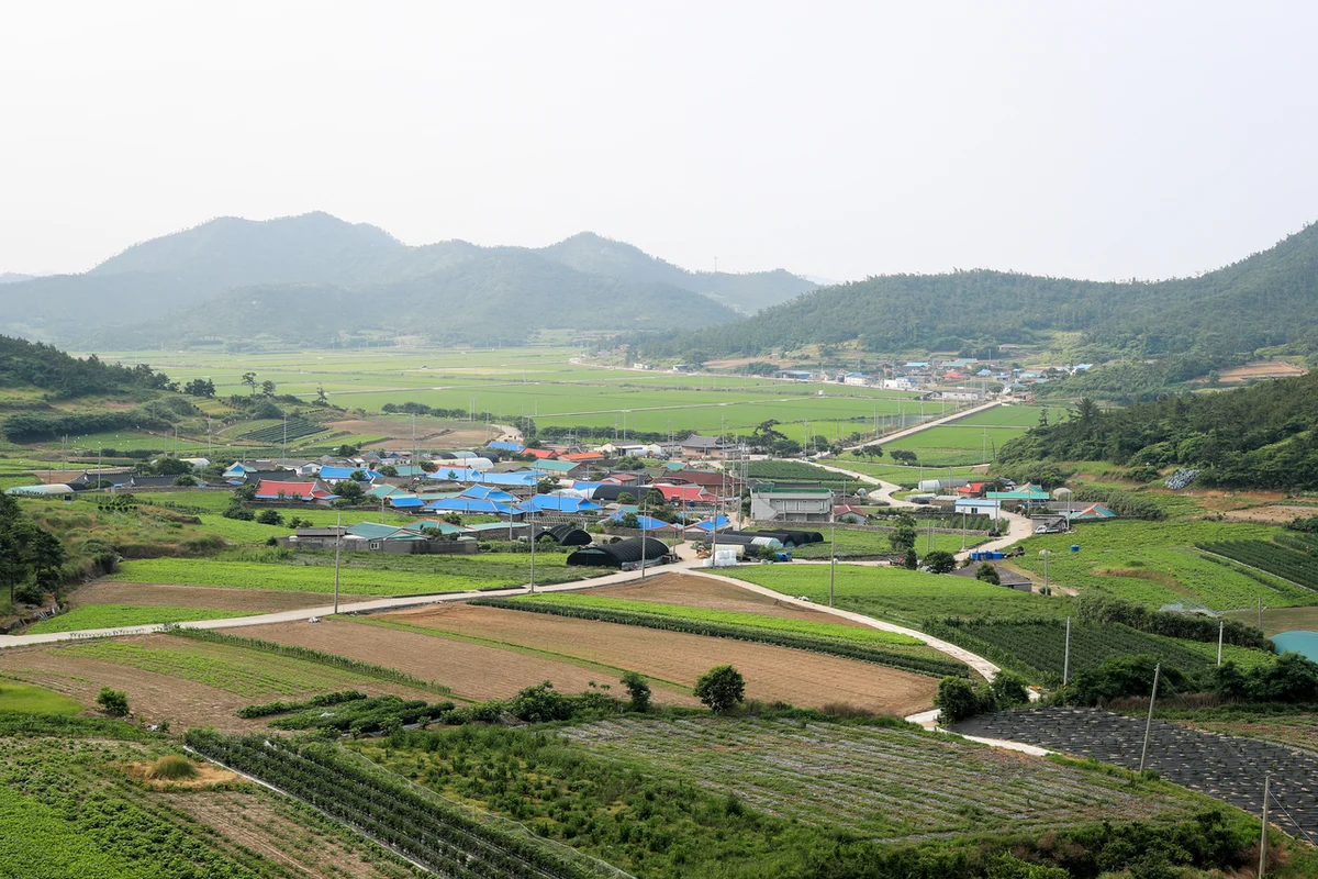 증도 모실길 2코스 갯벌공원길 - 신안 여행