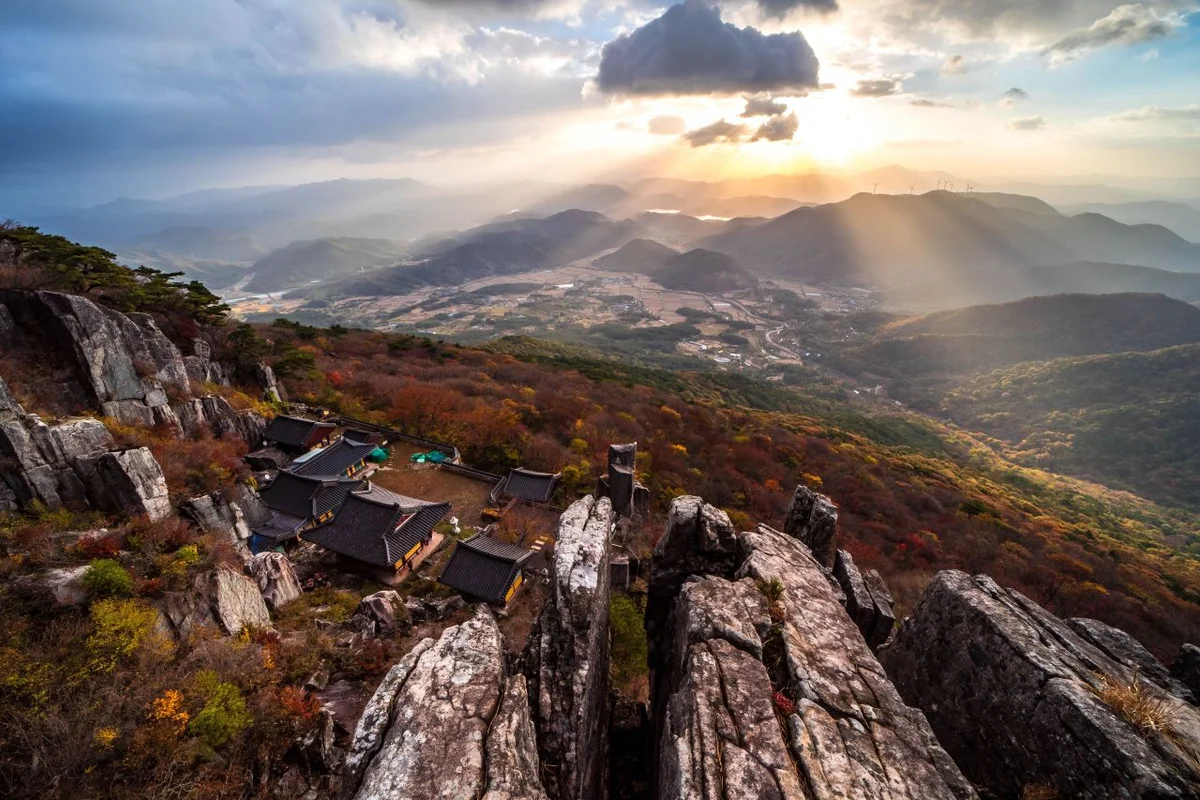 광주 연꽃 명소 (출처 : 한국관광공사)
