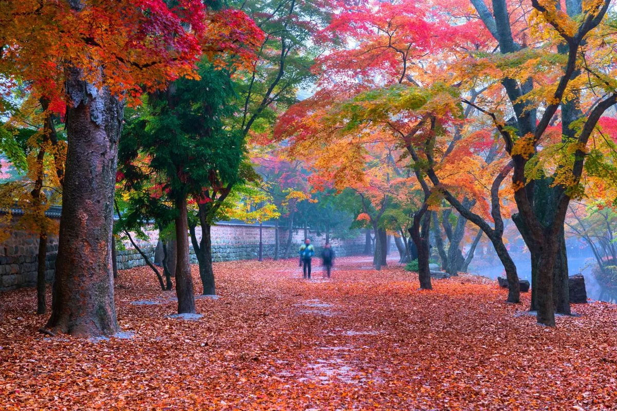 선운사 - 고창 여행