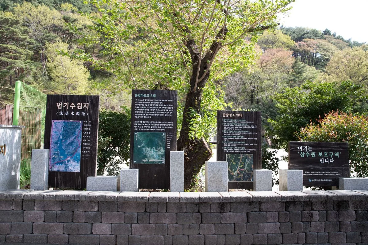 신비로운 물안개와 편백 숲의 조화, 법기수원지 - 양산여행 여행