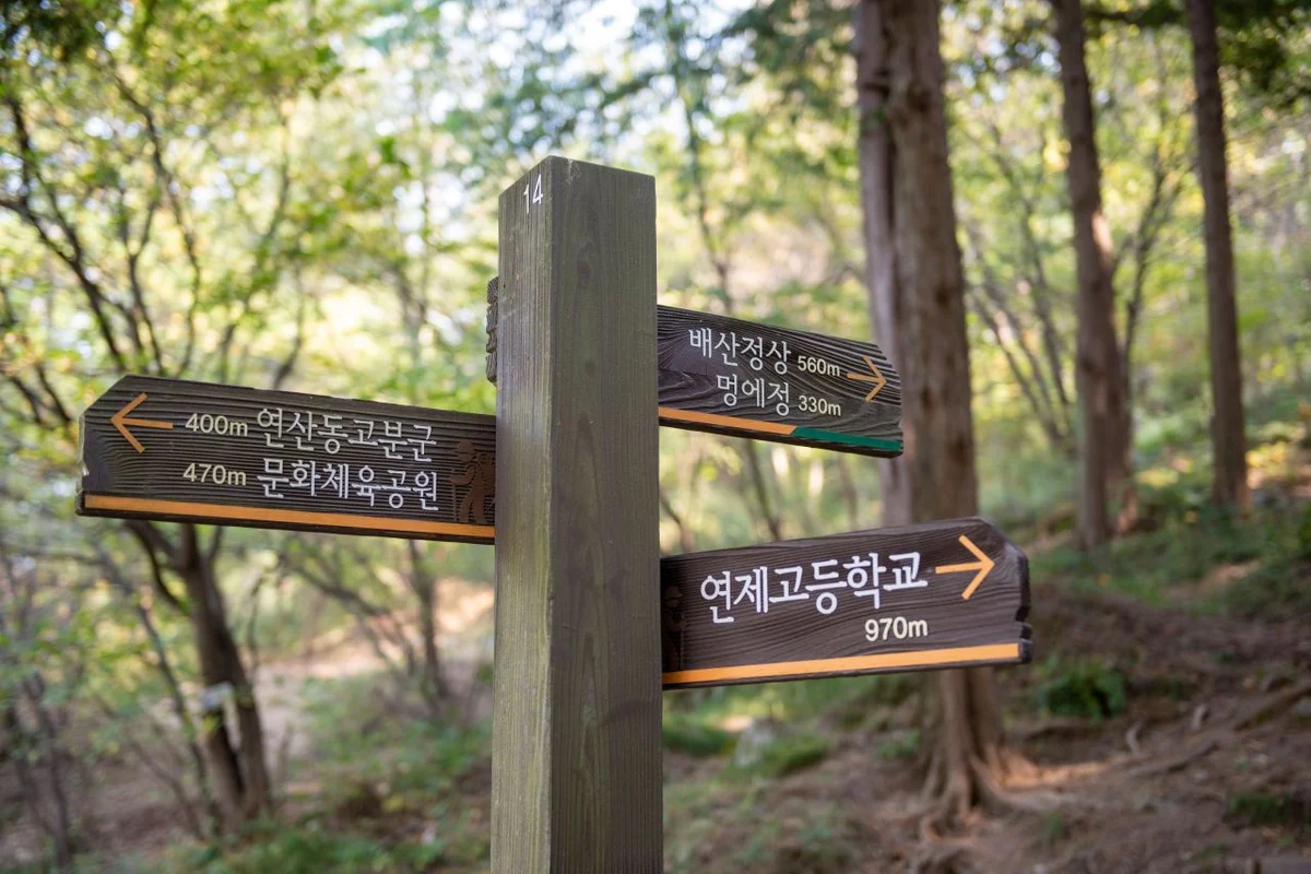 연산동고분군 - 연제구여행 여행