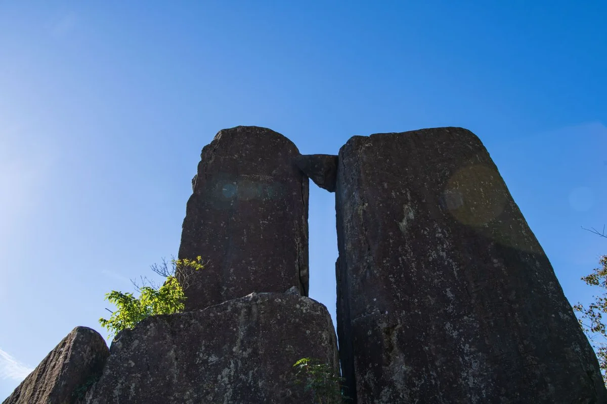 화순 꽃강길 음악분수쇼 - 화순군 여행