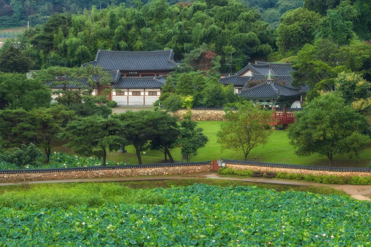 용도수목원 - 시흥벚꽃 여행