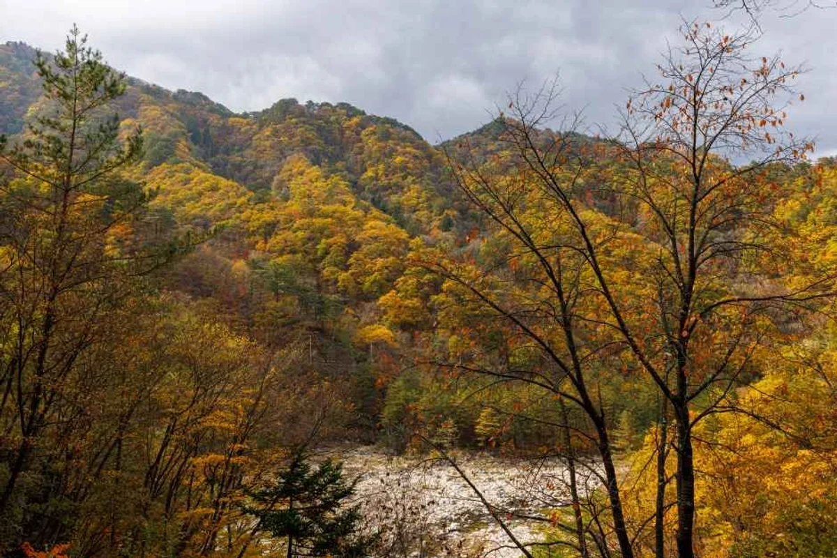 설악산 식물원 (출처 : 한국관광공사)
