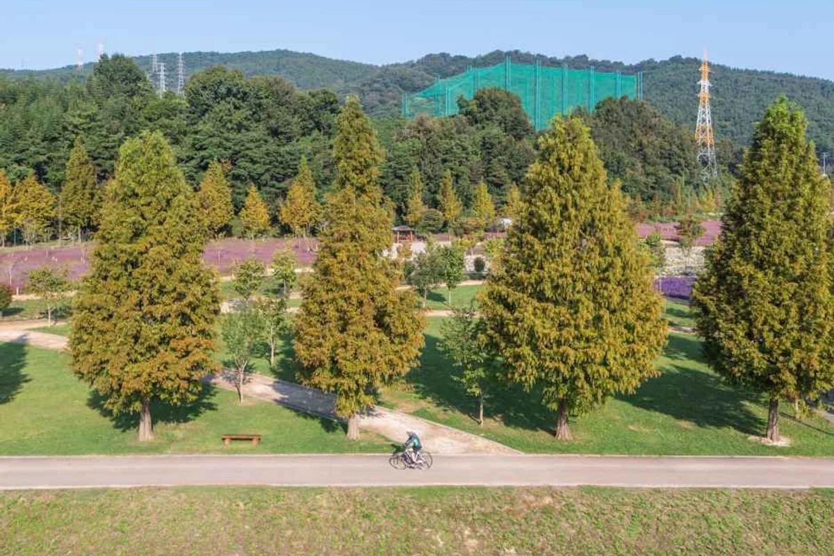 울산대공원 자전거 도로 - 울산대공원 여행