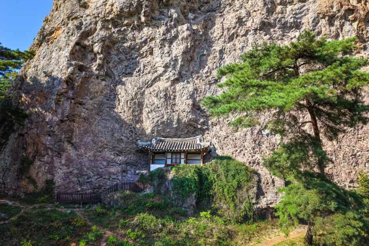 역삼개나리공원 - 역삼여행 여행