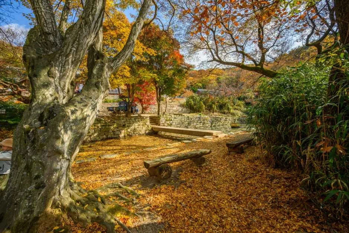 보원사지유물전시관 - 서산여행 여행
