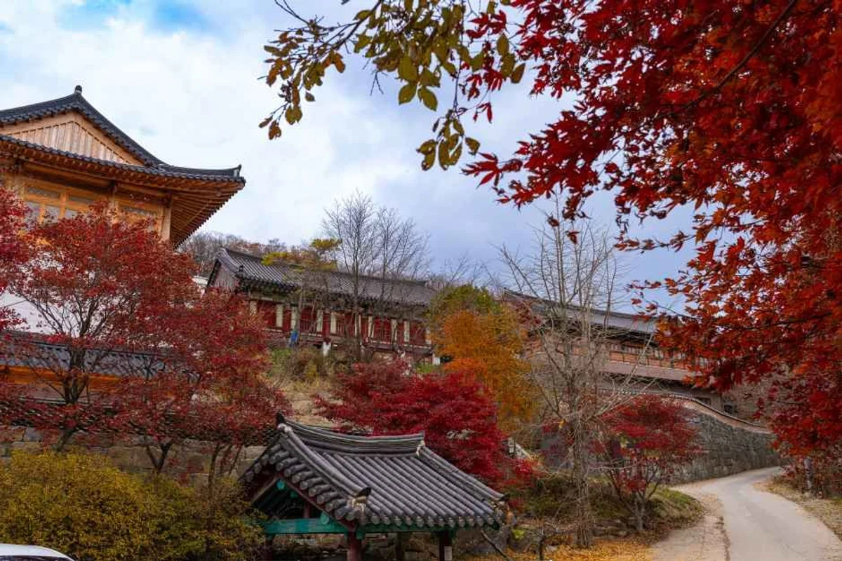 무주 관광 (출처 : 한국관광공사)