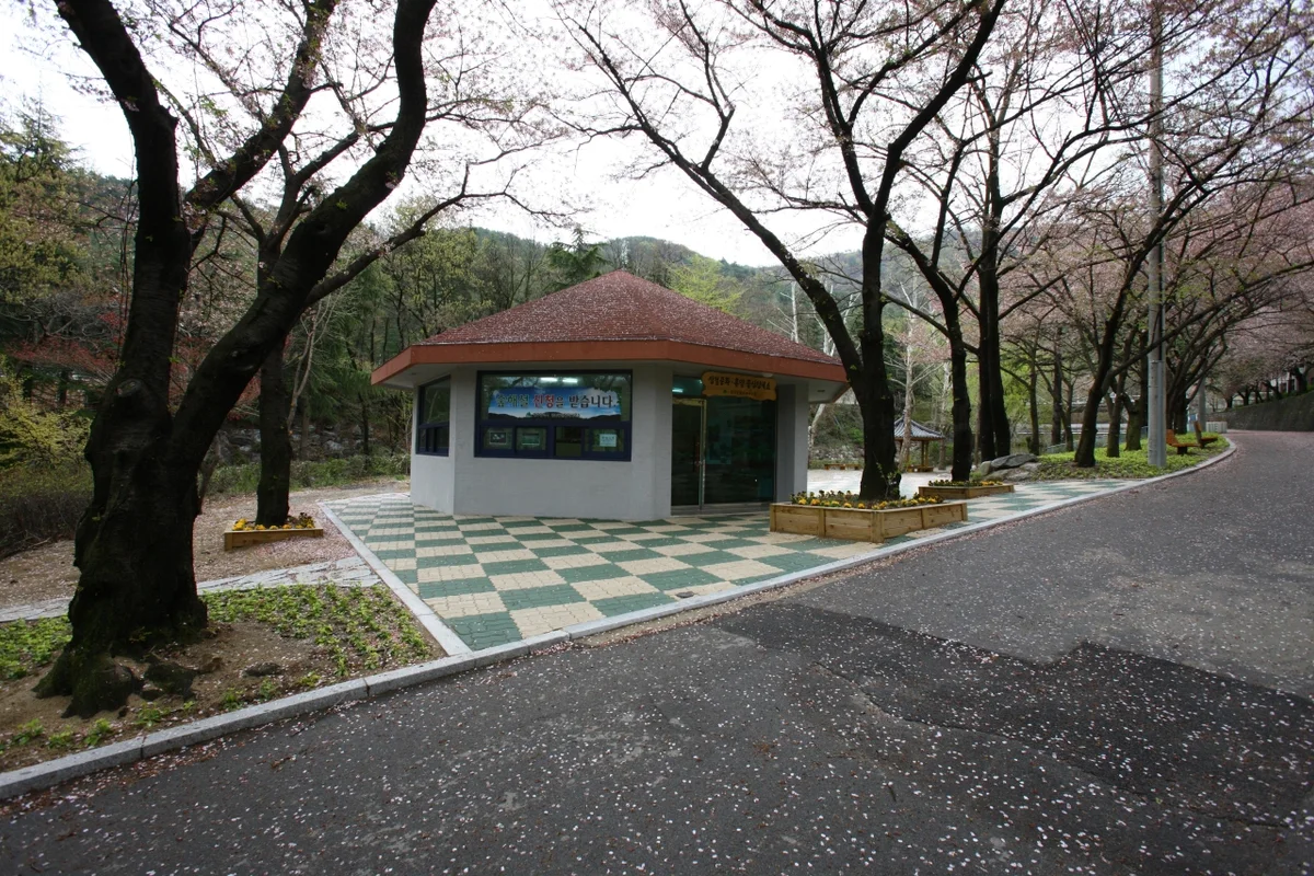 앞산 공원 - 대구여행 여행