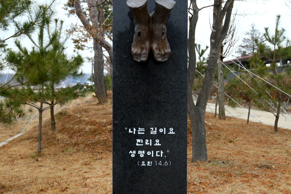 당진시 벚꽃 (출처 : 한국관광공사)