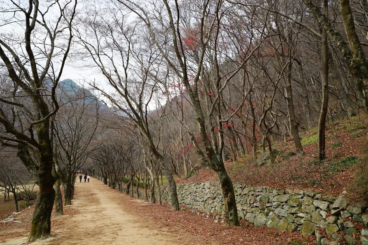 내장산 사찰 내장사 - 내장산 여행