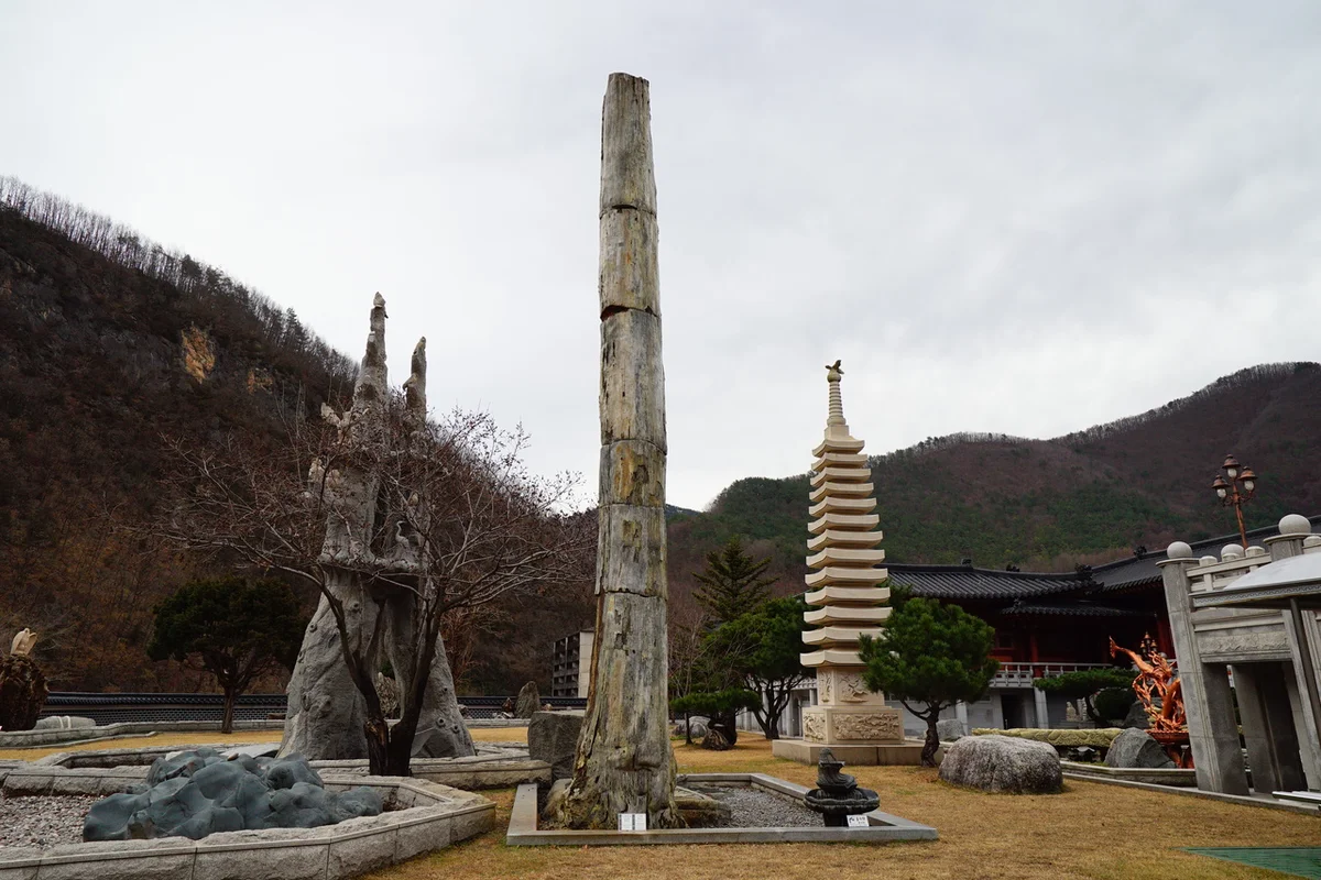 쏠비치 삼척 오션플레이 - 삼척여행 여행