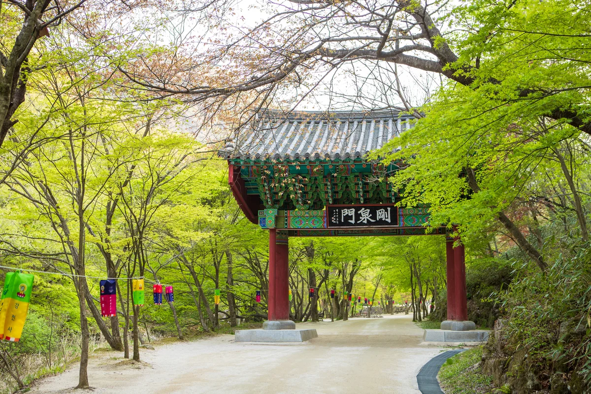 순창군 식물원 (출처 : 한국관광공사)