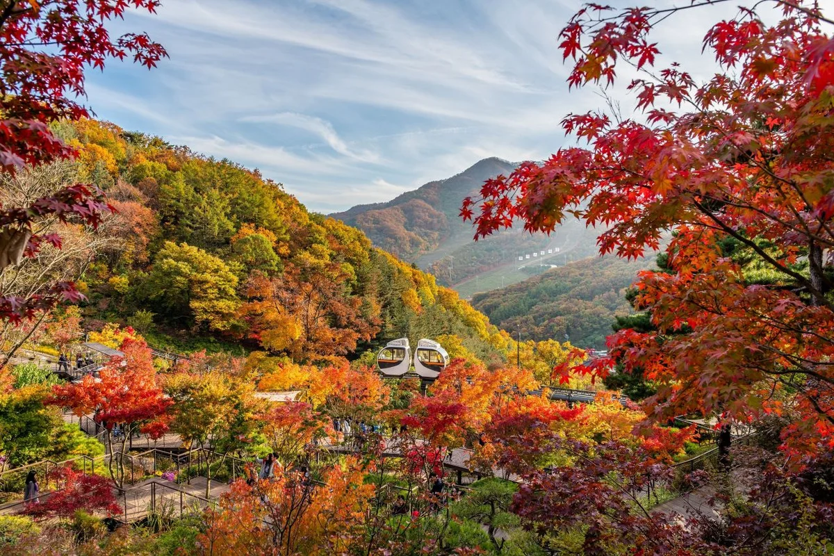 광주 화담 숲 (출처 : 한국관광공사)