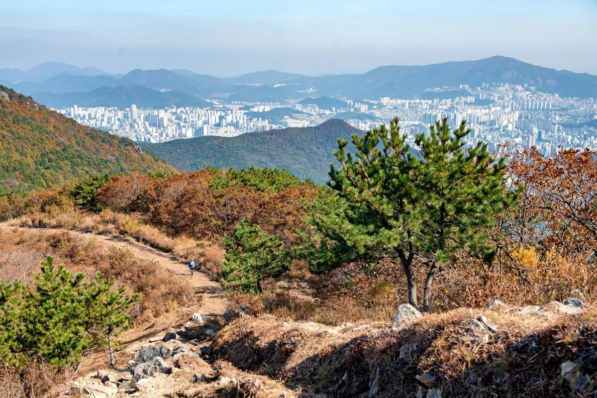 부산진 여행코스 (출처 : 한국관광공사)