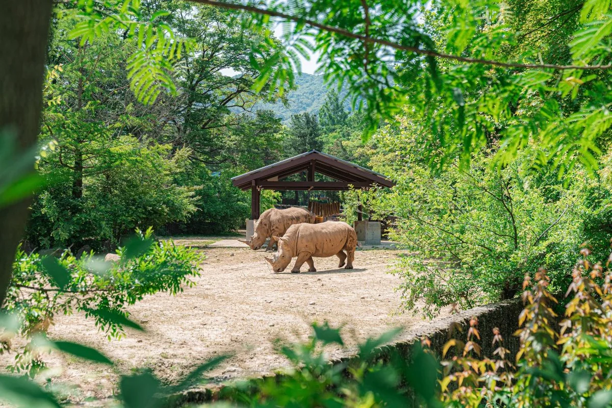 과천시 수상 레저 체험의 장 - 과천시 여행