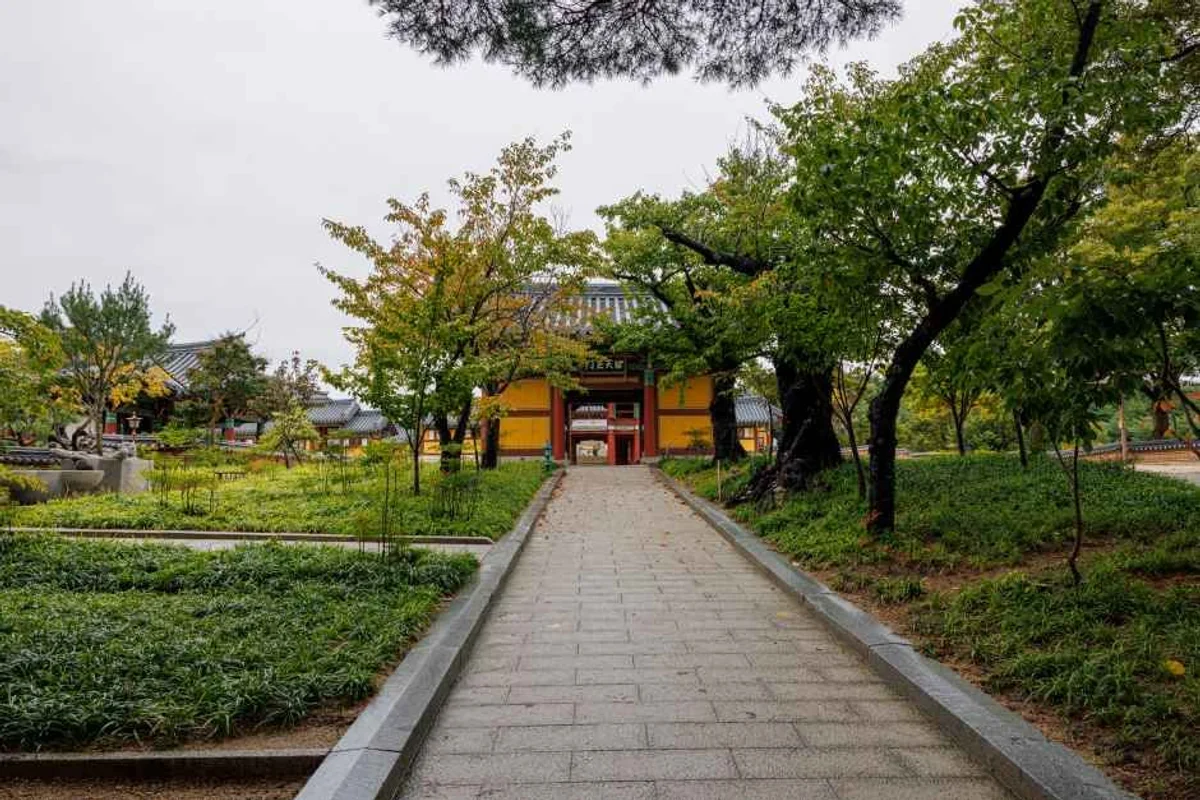 남대천 벚꽃길 - 양양여행 여행