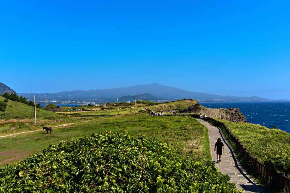 제주 여행지 도 (출처 : 한국관광공사)