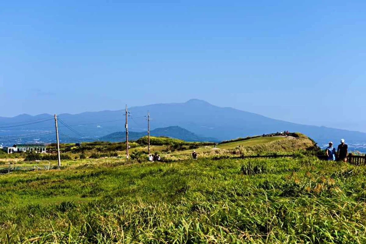 다도한가 - 한라산한옥스테이 여행