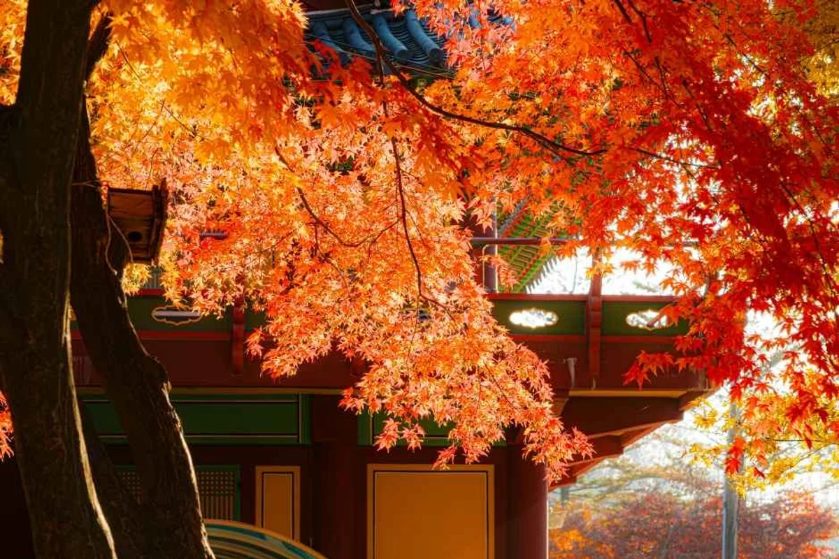 농협경제지주 안성팜랜드 - 경기 가족여행 여행