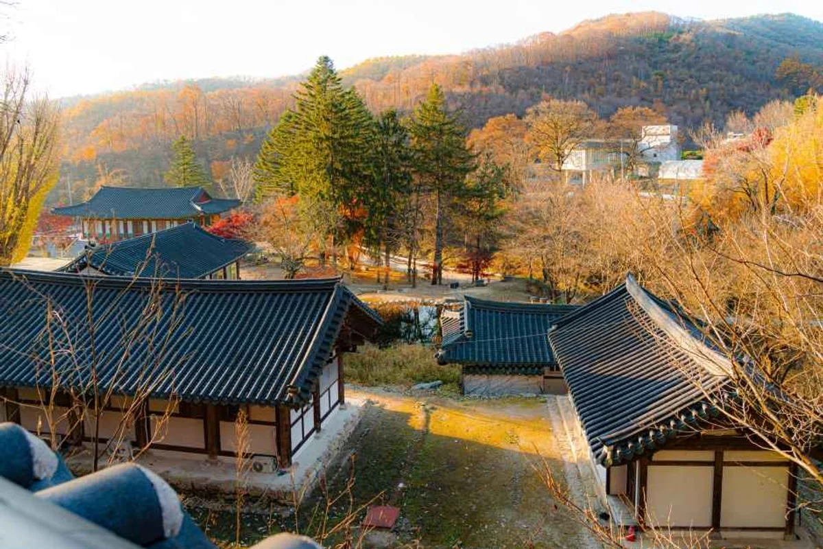 캐리비안 베이 - 경기도여행 여행