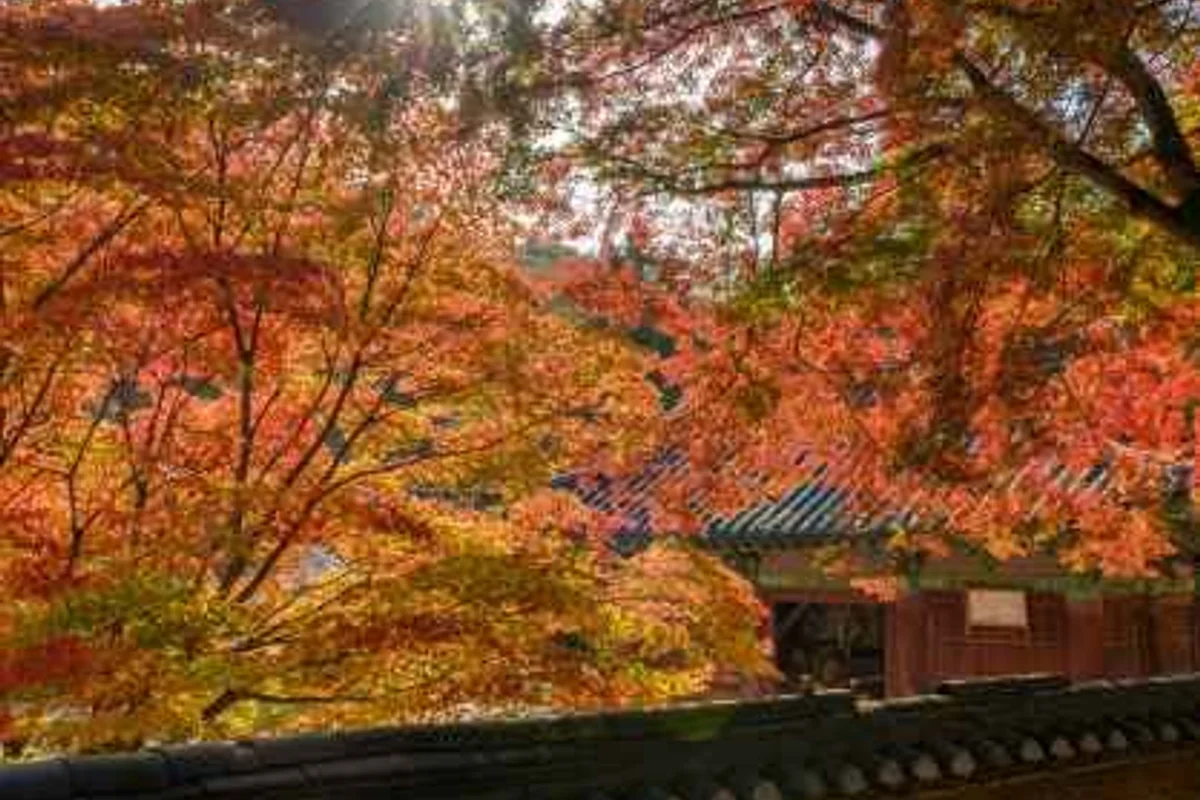 마곡사 - 공주시 여행