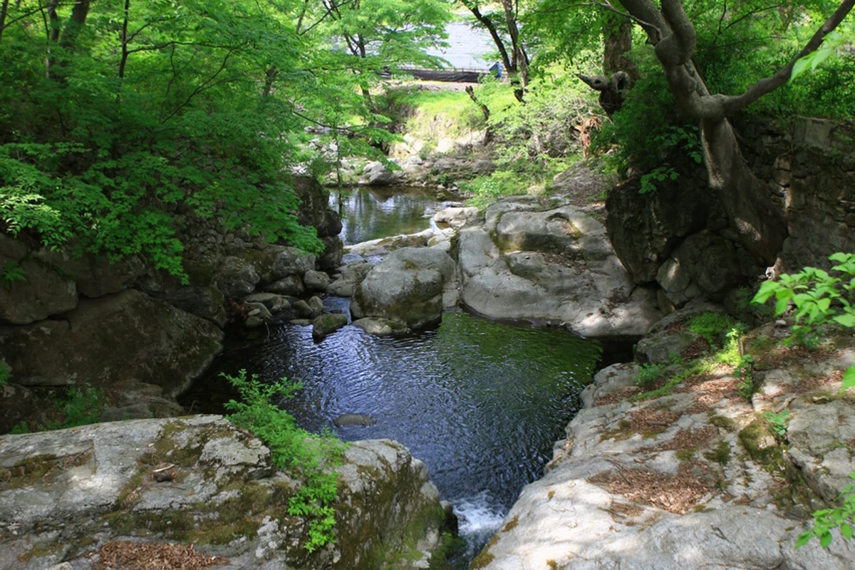 무궁화학습원 - 계룡여행 여행