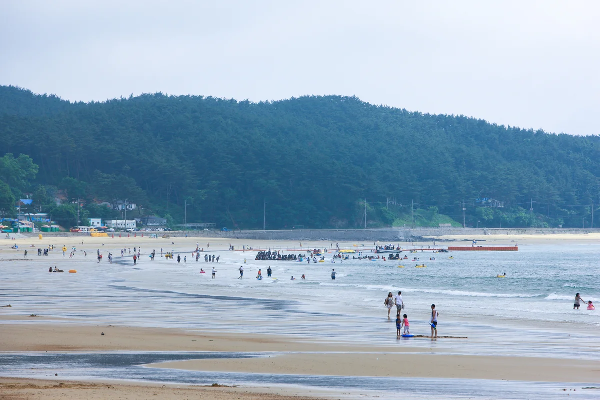 뭍닭섬 산책로 - 만리포 여행