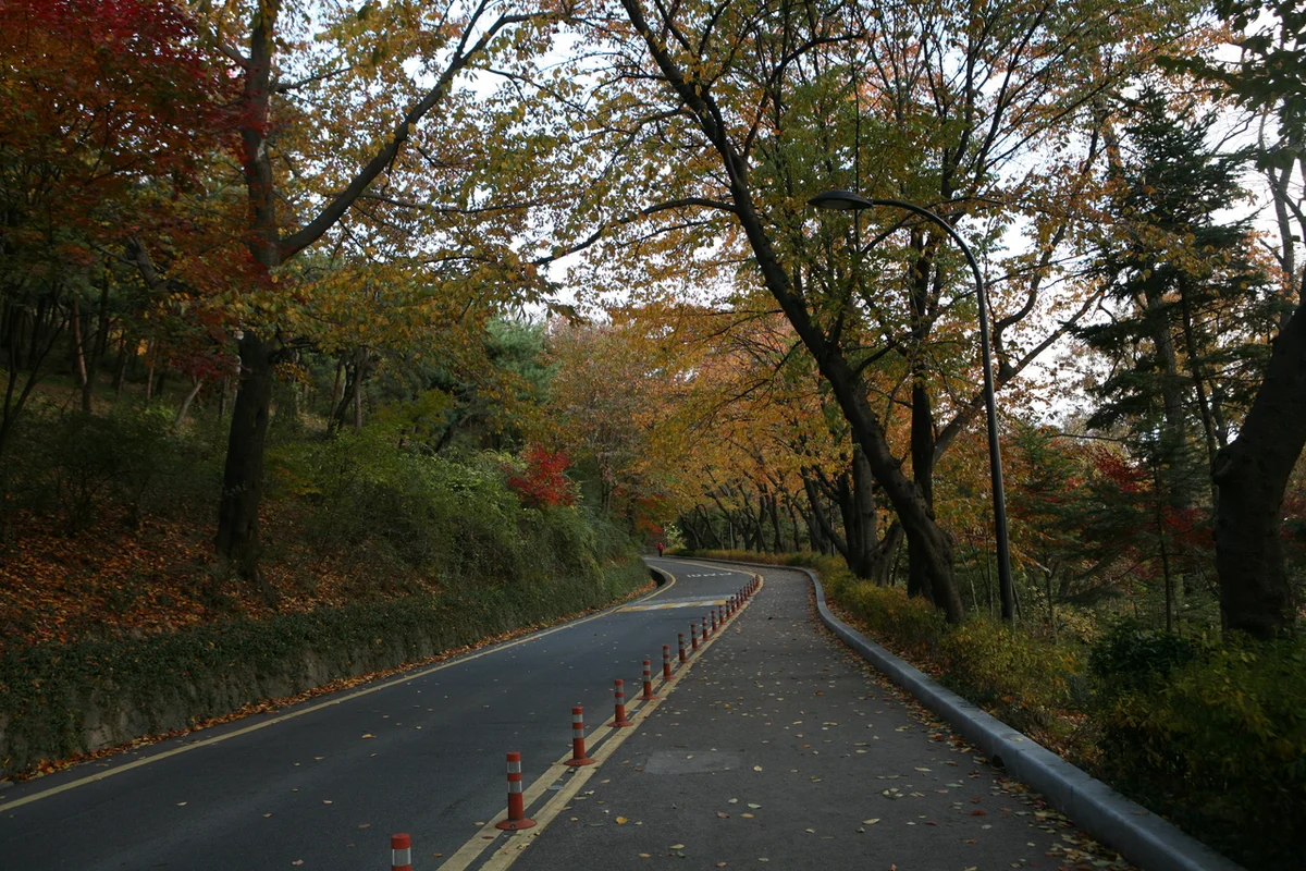 남산공원 산책로 - 명동일출 여행