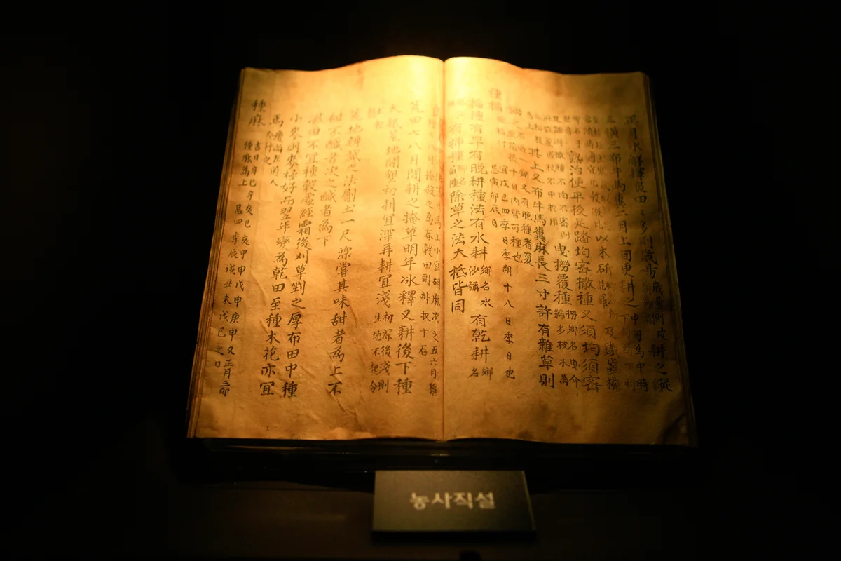 사직 트레킹 (출처 : 한국관광공사)