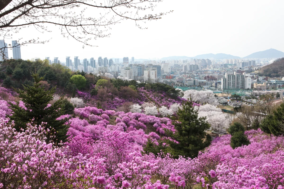 부천자연생태공원 - 부천여행 여행