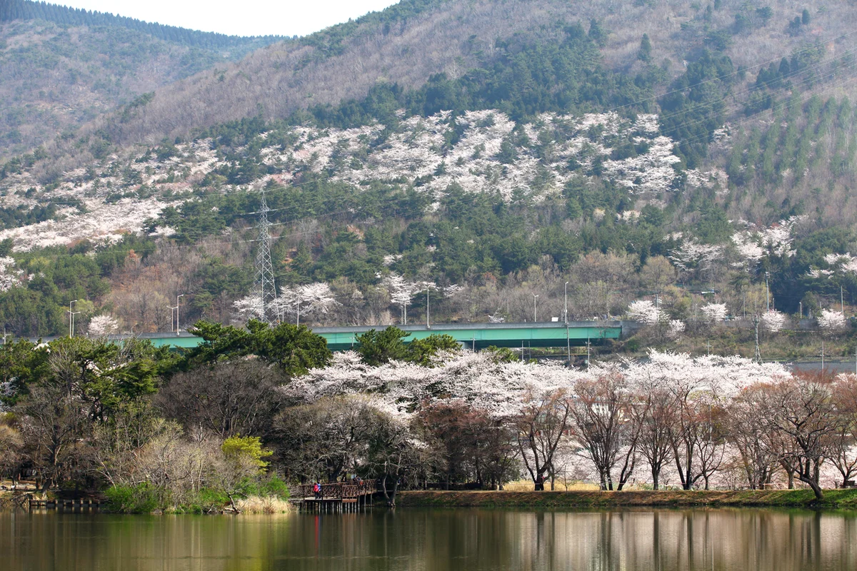 대산 미술관 - 창원여행 여행