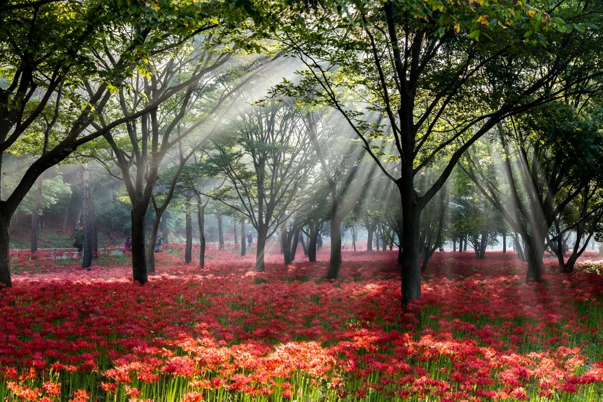 율포해변 - 전남여행 여행