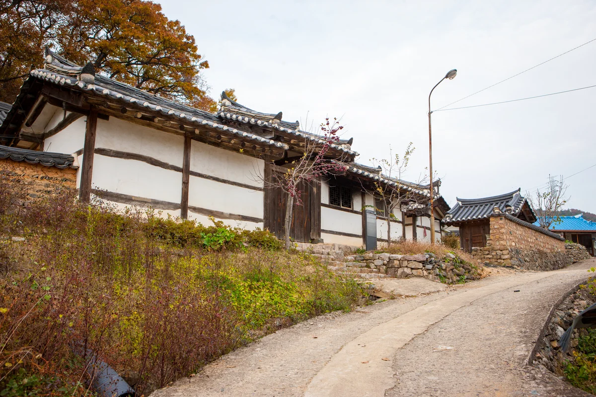 황금대추농장에서의 이색 체험 - 대정친구와여행 여행