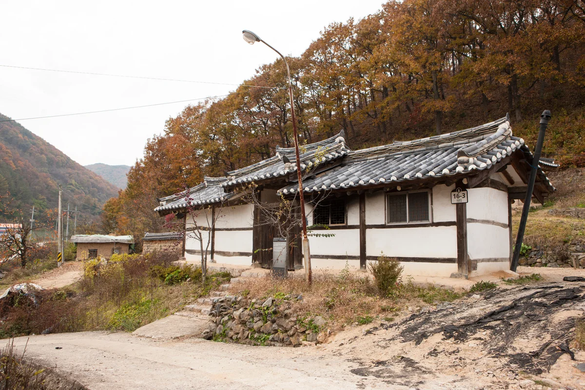 유성온천거리, 축제의 열기로 가득한 밤 - 대정친구와여행 여행