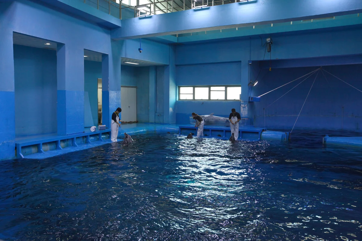 장생포 고래생태체험관 - 장생포고래문화마을 여행
