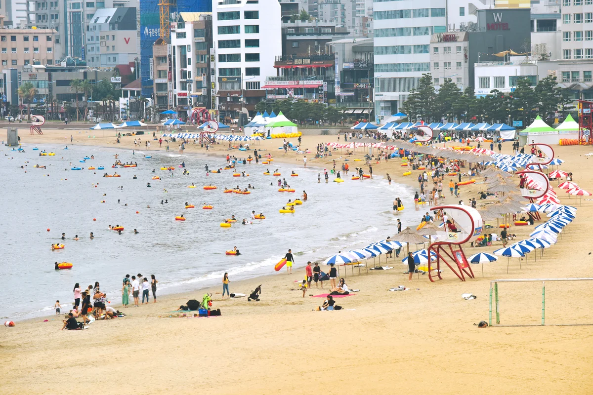 펫스테이션 - 광안리여행 여행